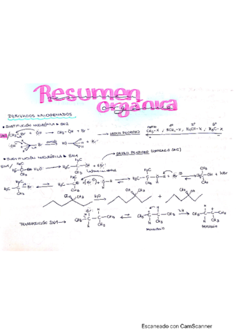 RESUMEN-ORGANICA-PARTE-2.pdf