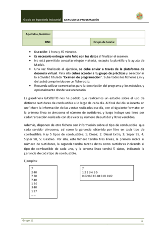 ExamenProgramacion_Gasolito.pdf