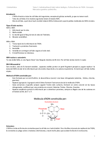 Tema-5.pdf