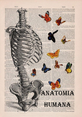 ANATOMIA-HUMANA-COMPLETO.pdf