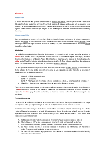 Músculos.pdf