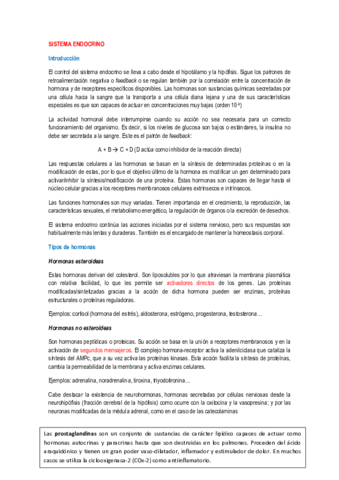 Sistema endocrino.pdf