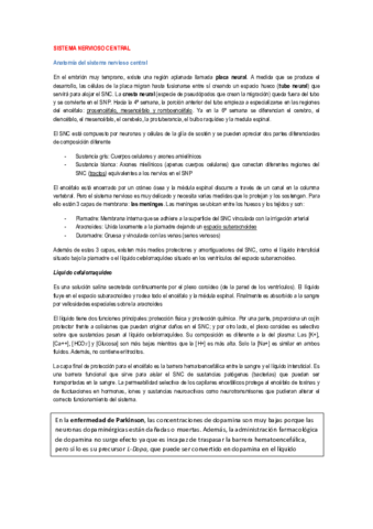 Sistema nervioso central.pdf