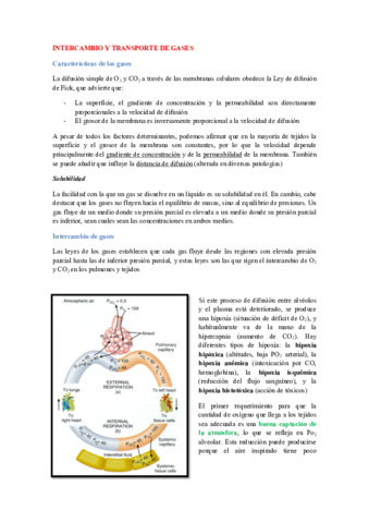 Intercambio y transporte de gases.pdf