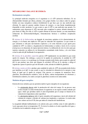 Metabolismo I.pdf