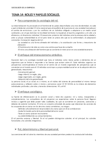 TEMA 14 ROLES.pdf