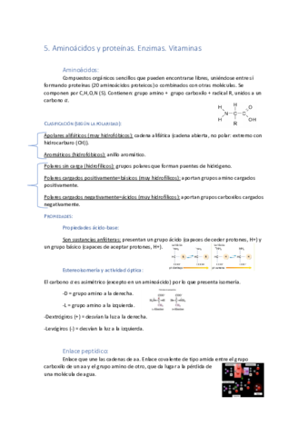 Tema-5-Proteinas-enzimas-y-vitaminas.pdf
