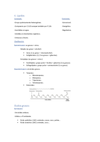 Tema-4-Lipidos.pdf