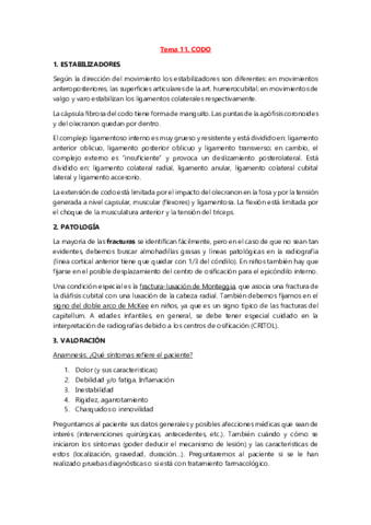 Tema 11. Codo.pdf