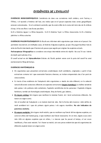LEVOLUCIO.pdf