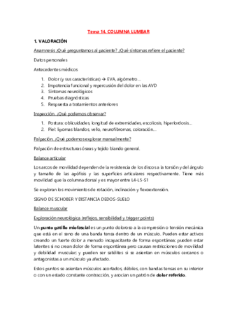 Tema 14. Columna lumbar.pdf