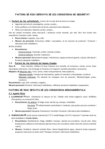 FACTORS-DE-RISC-DERIVATS-DE-LES-CONDICIONS-DE-SEGURETAT.pdf