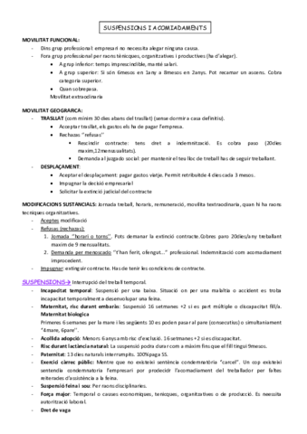 SUSPENSIONS-I-ACOMIADAMENTS.pdf