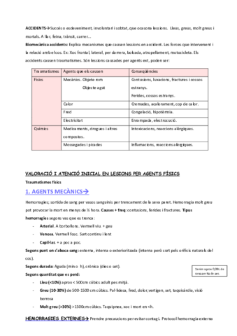 NF3-VALORACIO-I-ATENCIO-INICIAL-EN-LESIONS-PER-AGENTS-FISICS.pdf