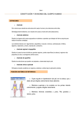 Anatomia-1-9.pdf