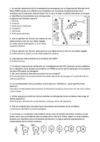 Preguntas-Ebau.pdf