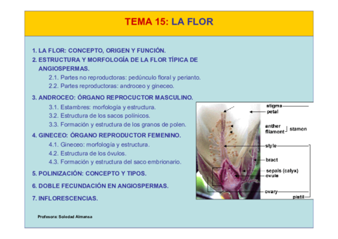 Tema15-La Flor.pdf