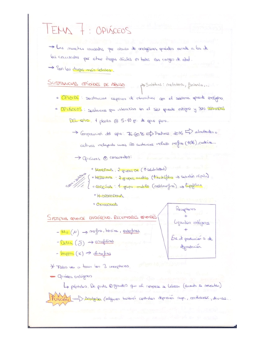 T7-Opiaceos.pdf