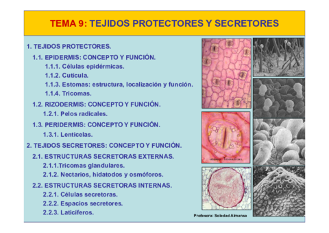 Tema09-Tejidos protectores y secretores I.pdf