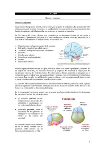 TEMA-5-CRANEO.pdf