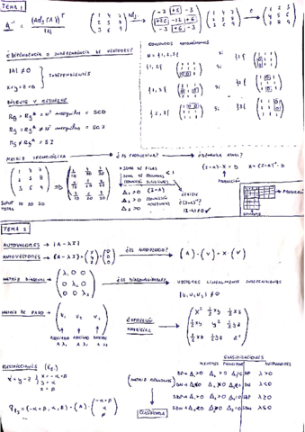 Resumen-Temas-Mates-II.pdf