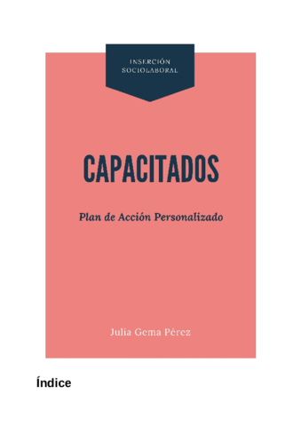 plan-de-accion.pdf