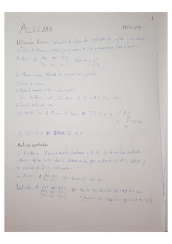 MATES-1-EJERCICIOS-Y-APUNTES-ALGEBRA.pdf