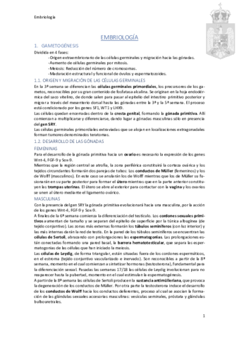 Embrioapuntes-parte-I-Diego-Melendez.pdf