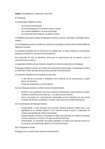 TEMA-6.pdf