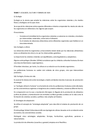 TEMA-7.pdf