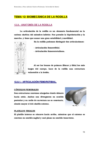 12-Examen-rodilla.pdf