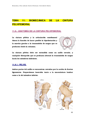 11-Examen-Cintura-pelvifemoral.pdf