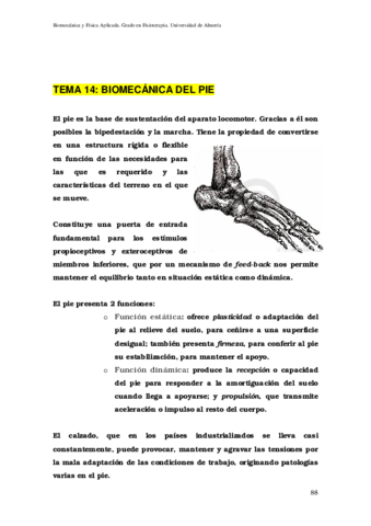 14-Examen-pie.pdf