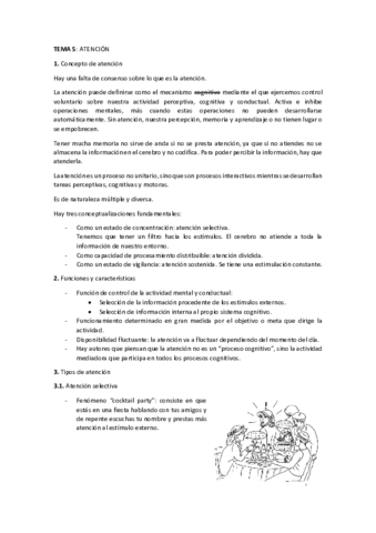 TEMA-5.pdf