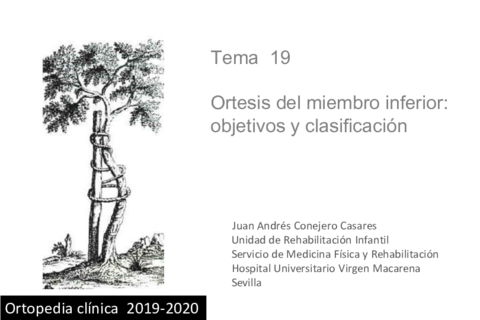 Tema-19.pdf