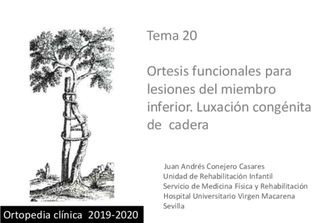 Tema-20.pdf