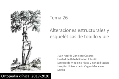 Tema-26.pdf