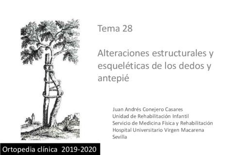 Tema-28.pdf
