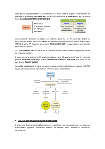 TEMA-2.pdf