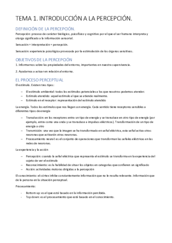 PERCEPCION-FINAL.pdf