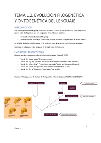 TEMA-1.pdf