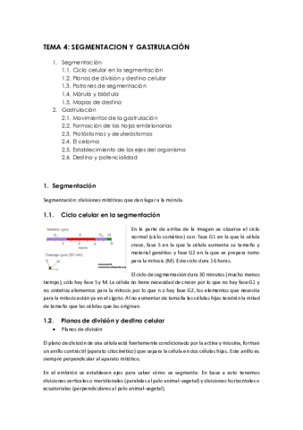 Tema-4.pdf