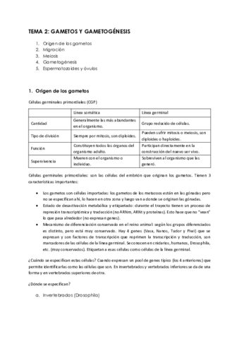 Tema-2.pdf