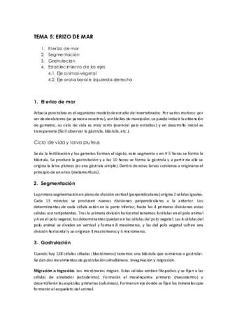 Tema-5.pdf