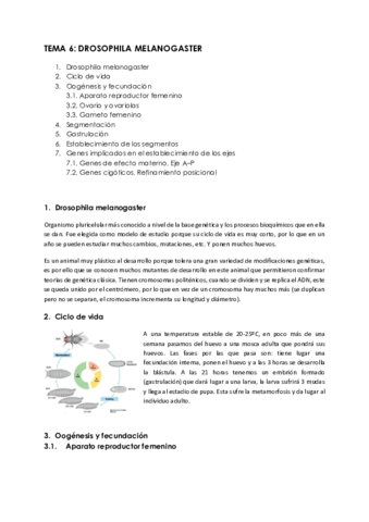 Tema-6.pdf