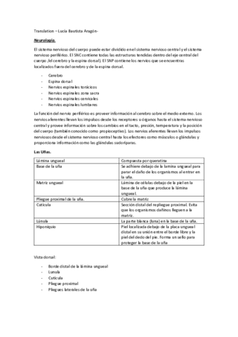 Translation-Sistema-nervioso.pdf