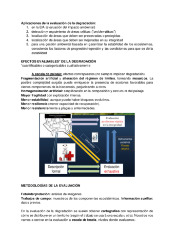 T14-EVALUACION-DE-LA-DEGRADACION.pdf