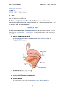 TEMA 17 - ÚTERO Y VAGINA.pdf