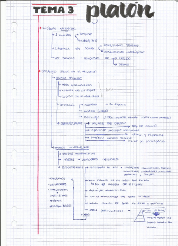 platon-tema.pdf