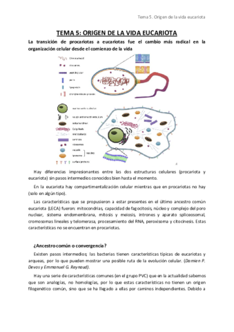 Tema 5. Origen vida eucariota